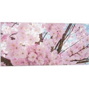 WallClassics - Vlag - Roze Bloemen in een Boom - 100x50 cm Foto op Polyester Vlag