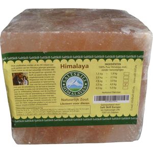 Salt Skill Himalaya Liksteen 3.50 kg Vierkant
