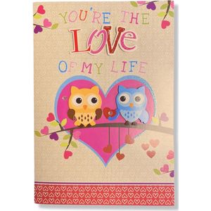 XXL Luxe 3D Valentijnskaart love birds - 18.5x26.5cm - Inclusief gekleurde envelop