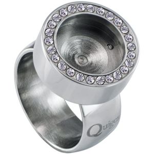 Quiges RVS Schroefsysteem Ring met Zirkonia Zilverkleurig Glans 20mm met Verwisselbare Parelmoer Groen Schelp 12mm Mini Munt