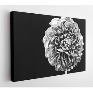 Stylish bouquet. Botany concept. Beautiful silver flowers. Floral shop. Metallic steel or golden color. Metal flowers. Eternal beauty. Fashion and beauty. Flowers covered metallic paint close up. - Modern Art Canvas - Horizontal - 1664338219