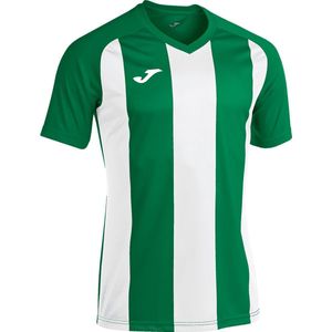 Joma Pisa II Shirt Korte Mouw Kinderen - Groen / Wit | Maat: 164