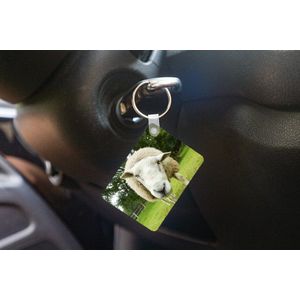 Sleutelhanger - Schaap - Grappig - Weiland - Kinderen - Jongens - Meisjes - Kind - Uitdeelcadeautjes - Plastic