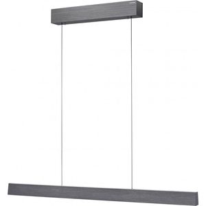 Paul Neuhaus - Hanglamp e-Lift L 120 cm donker grijs