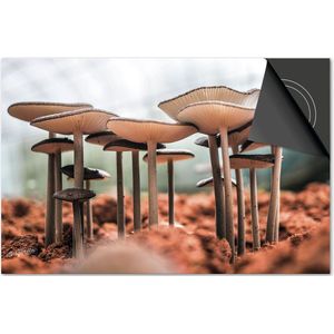 Inductie beschermer 60x60 - afdekplaat inductie mat - Dietrix Kookplaat beschermer - DELUXE - Herfst - Paddenstoelen