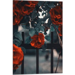 WallClassics - Vlag - Rode Bloemen in Groene Struik bij Hek - 50x75 cm Foto op Polyester Vlag
