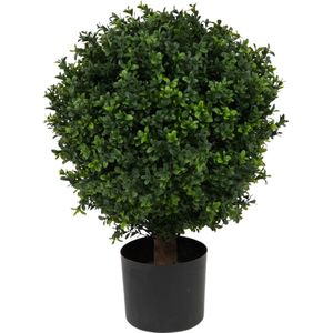 Kunstplant Buxus op stam romeinse stijl 65cm