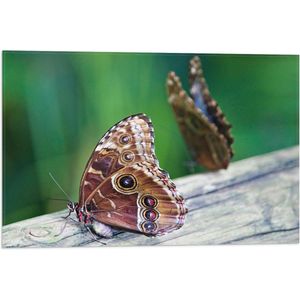 WallClassics - Vlag - Bruine Vlinders op een Houte Balk - 60x40 cm Foto op Polyester Vlag