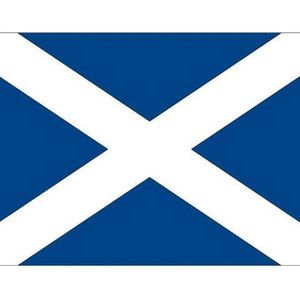 10x Binnen en buiten stickers Schotland 10 cm - Schotse vlag stickers - Supporter feestartikelen - Landen decoratie en versieringen