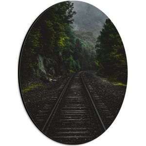 WallClassics - Dibond Ovaal - Treinspoor tussen Groene Bossen - 21x28 cm Foto op Ovaal (Met Ophangsysteem)
