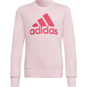 adidas Essentials Meisjes Sweater