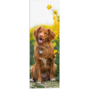 WallClassics - Vlag - Bruine Hond naast Gele Bloemen - 20x60 cm Foto op Polyester Vlag