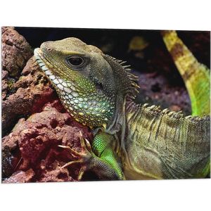 WallClassics - Vlag - Groene Chinese Water Dragon - 80x60 cm Foto op Polyester Vlag