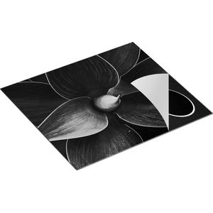 Chefcare Inductie Beschermer Blauwe Agave Plant - Bloem - Zwart Wit - 59x52 cm - Afdekplaat Inductie - Kookplaat Beschermer - Inductie Mat