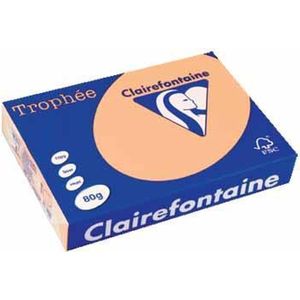 TROPHEE ZALM A4 80GR 500V