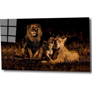 Lion family 3 120x80 plexiglas 5mm