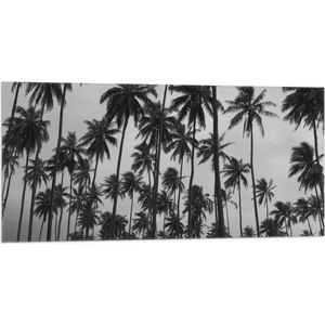 WallClassics - Vlag - Heel Veel Palmbomen Zwart / Wit - 100x50 cm Foto op Polyester Vlag