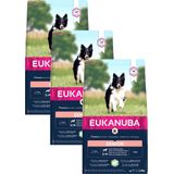 Eukanuba Dog Mature & Senior - All Breeds - Lamb & Rice - 3 * 2,5 kg