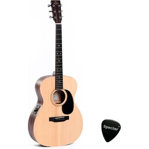 Sigma Semi Akoestische Western Gitaar Met Specter Plectrum