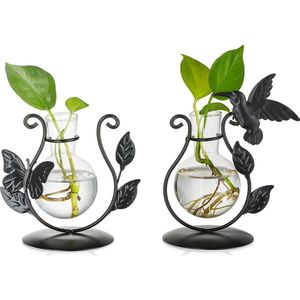 Bastix - Glasseam voortplantingsstation, 2 stuks hydrocultuur vazen ​​zwart voor terrariumplanten, bloemenvaas moderne metalen ingelijste vazen ​​decoratie, creatieve decoratieve vaas kleine glazen vazen ​​voor tafeldecoratie woonkamer kantoor