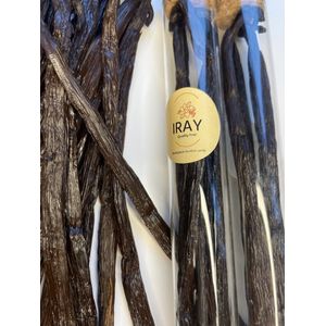 IRAY - Premium Bourbon Vanilla - 3 stokjes - 19+ Centimeter
