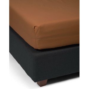 ESSENZA Premium Percale Hoeslaken Leather brown - 140x200 cm