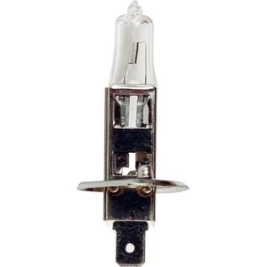 Sumex Autolamp H1 12 Volt 55 Watt Per Stuk In Blisterverpakking