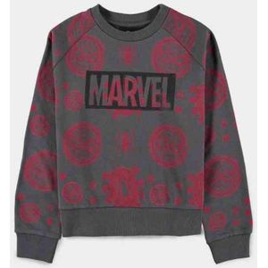 Marvel SpiderMan - Allover Pigment Print Sweater/trui kinderen - Kids 146 - Grijs