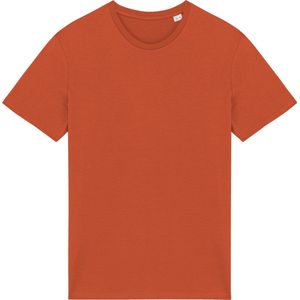 Unisex T-shirt met ronde hals Native Spirit Burnt Brick - 4XL