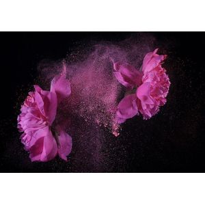 Flower power II – 120cm x 80cm - Fotokunst op PlexiglasⓇ incl. certificaat & garantie.