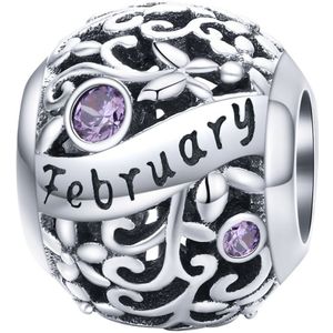 Geboortesteen maand Februari bedel | Paars zirkonia | bedels beads cadeau | Zilverana | geschikt voor alle bekende merken | 925 zilver | moederdag