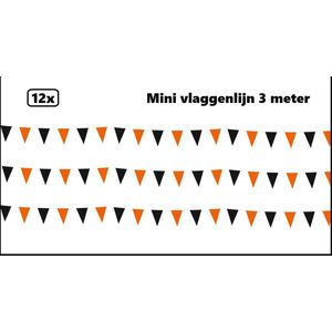 12x Mini vlaggenlijn oranje/zwart 3 meter - 10cm x 15cm - Festival thema feest party verjaardag gala vlag lijn