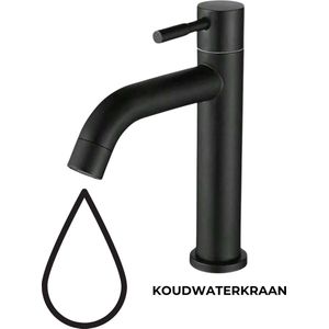 Antusias® ArchWave Collection - Koudwaterkraan Zwart - Fonteinkraan Roestvrijstaal - WC Kraan met Gebogen Uitloop - Toilet & Badkamer