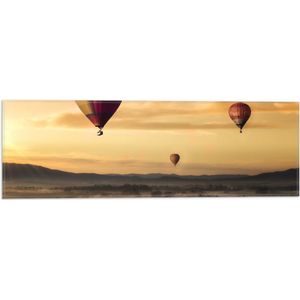 WallClassics - Vlag - Luchtballonen Zwevend boven Open Veld - 60x20 cm Foto op Polyester Vlag
