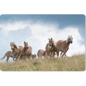 Bureau mat - Haflinger paarden - 60x40