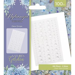 Natures Garden - Hydrangea - Dew Drops