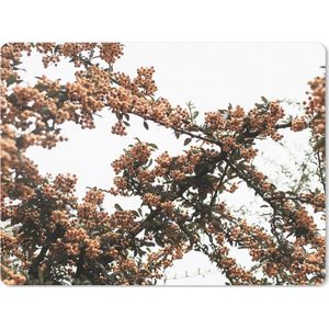 Muismat XXL - Bureau onderlegger - Bureau mat - Natuur - Herfst - Bessen - Struik - 80x60 cm - XXL muismat