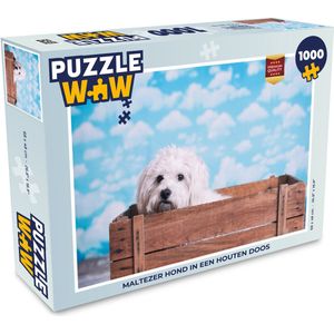 Puzzel Maltezer hond in een houten doos - Legpuzzel - Puzzel 1000 stukjes volwassenen
