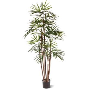 Raphis kunstpalm Promo 170cm