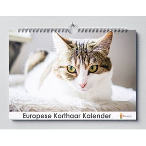 Europese Korthaar verjaardagskalender | 35 X 24CM | Verjaardagskalender katten | Kattensoort Europese Korthaar | Verjaardagskalender Volwassenen