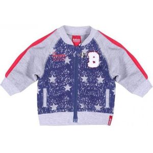 Beebielove Jongens Baby Cardigan Blauw/grijs - 50