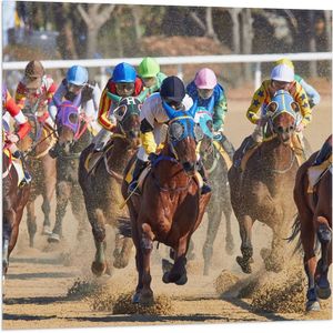 WallClassics - Vlag - Paarden Race - 80x80 cm Foto op Polyester Vlag