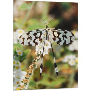 WallClassics - Vlag - Zwart/Witte Vlinder op Witte Bloemen - 70x105 cm Foto op Polyester Vlag