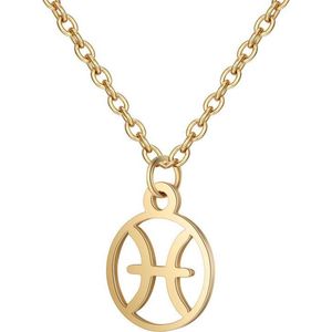 24/7 Jewelry Collection Vissen Ketting - Cirkel - Sterrenbeeld - Horoscoop - Goudkleurig