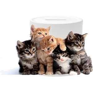 Spaarpot - Kittens - Poes