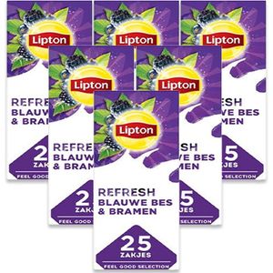 Lipton - Feel Good - Vruchtenthee - Bosvruchten - 25 Zakjes van 1,5gr