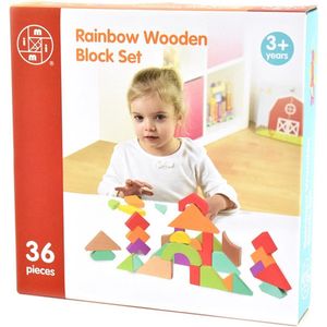 Rainbow wooden Blokken set 36 delig