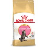 Royal Canin Maine Coon Kitten - Kattenvoer - 2 kg