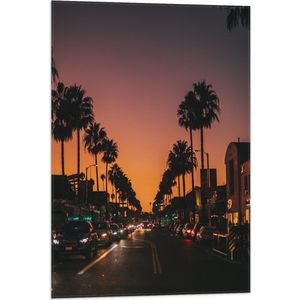 WallClassics - Vlag - Palmbomen in de Nacht - 50x75 cm Foto op Polyester Vlag