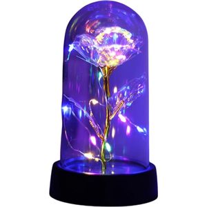 Nivard Onsterfelijke Roos - Roos In Glas - In Stolp - Galaxy - Roos In Glazen Stolp - Roos In Doos - Valentijn Cadeautje Voor Haar - Valentijn Cadeautje Voor Hem - Wit